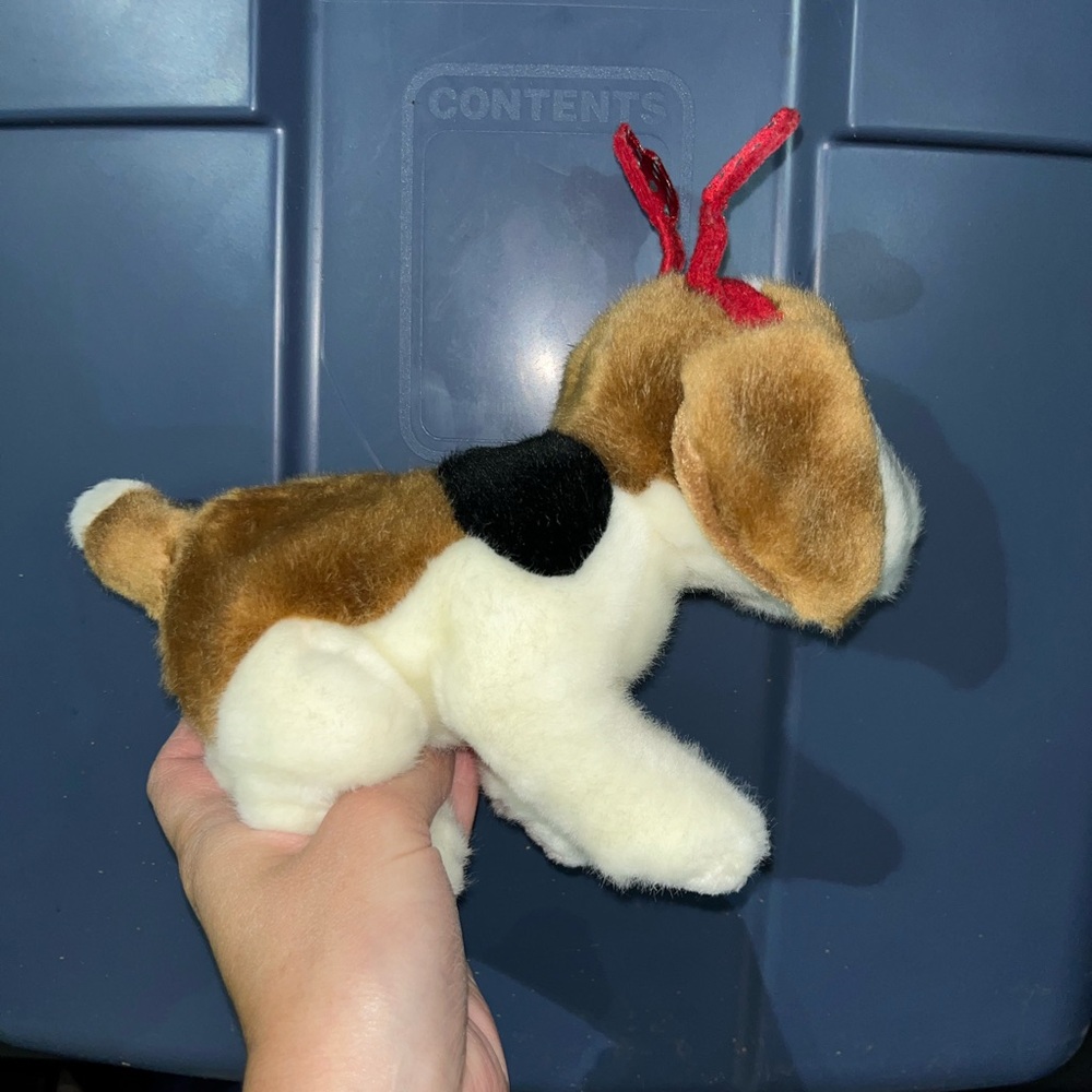 BEAGLE - Picture 2 of 3